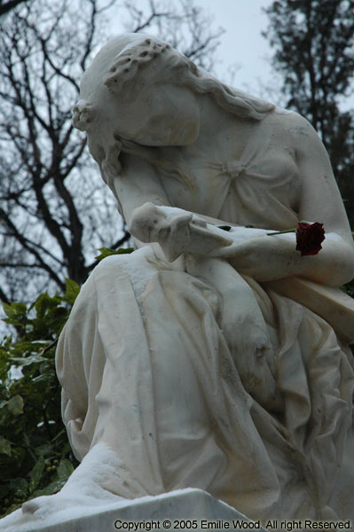 Père Lachaise 23